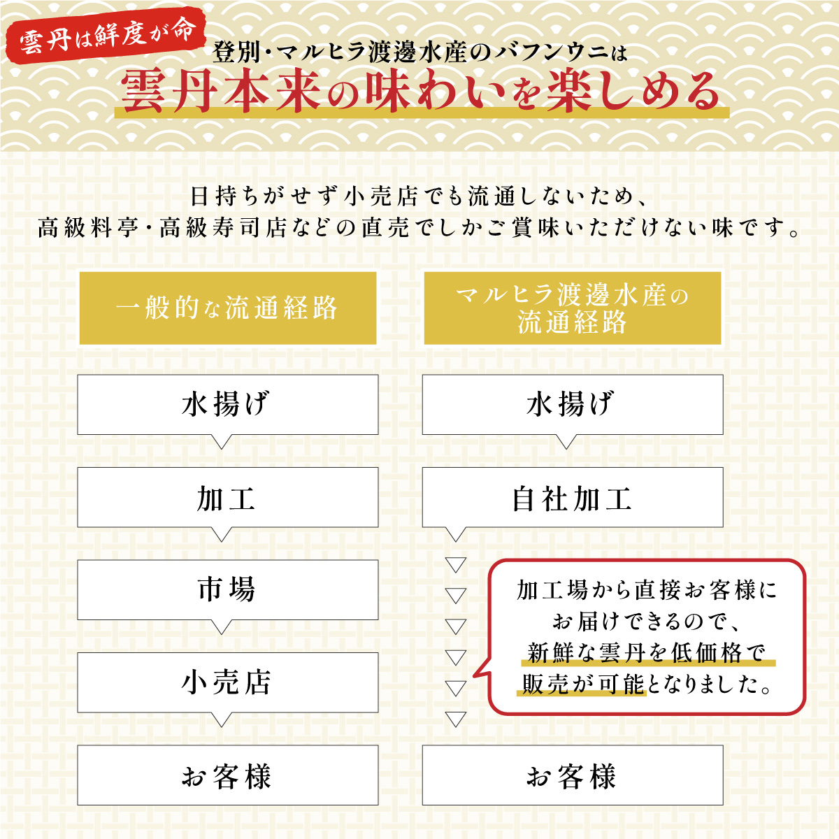 ≪規格外品600g≫無添加　エゾバフンウニ塩水パック600g　C 1月下旬〜3月下旬迄