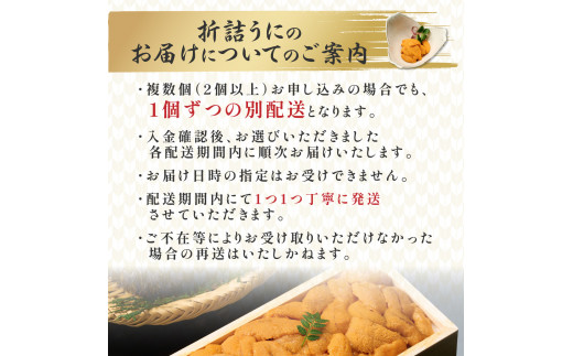 特選エゾバフンウニ折詰250g！！ウニ丼約3杯分　C 1月下旬〜3月下旬迄