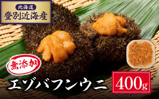 北海道 登別近海産　無添加　極上エゾバフンウニ塩水パック400g ※2025年6月より発送