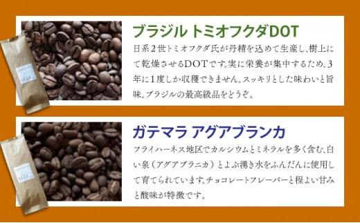 自家焙煎 コーヒー豆 100g×3個セット 300g（自家焙煎 コーヒー豆 オリジナルブレンド100g×3個セット）