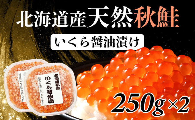 北海道産 天然秋鮭 いくら醤油漬け 500g（250g×2）