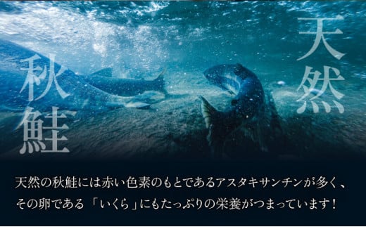 北海道産 天然秋鮭 いくら醤油漬け 500g（250g×2）