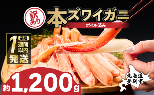 訳あり 冷凍 ボイル ずわいがに 足 1200g ズワイガニ　ハーフポーション【順次出荷】 ギフト 2025