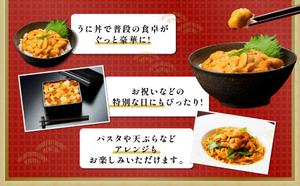 無添加　極上エゾバフンウニ塩水パック 100g　配送期間D：4月上旬～5月下旬迄