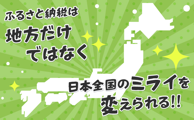 日本財団災害復興支援特別基金への寄附【災害支援】（返礼品なし）【MRI-AiD】【寄付額：2万円】