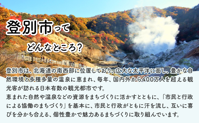 日本財団災害復興支援特別基金への寄附【災害支援】（返礼品なし）【MRI-AiD】【寄付額：50万円】
