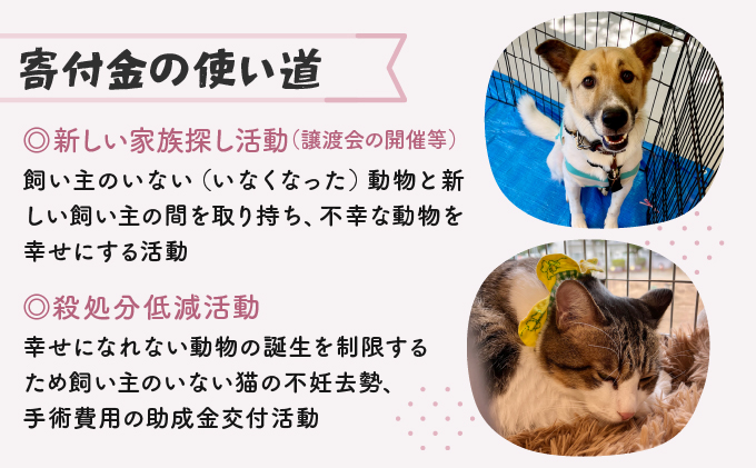 日本動物愛護協会殺処分低減活動への寄附【犬猫殺処分ゼロ】（返礼品なし）【MRI-AiD】【寄付額：5万円】