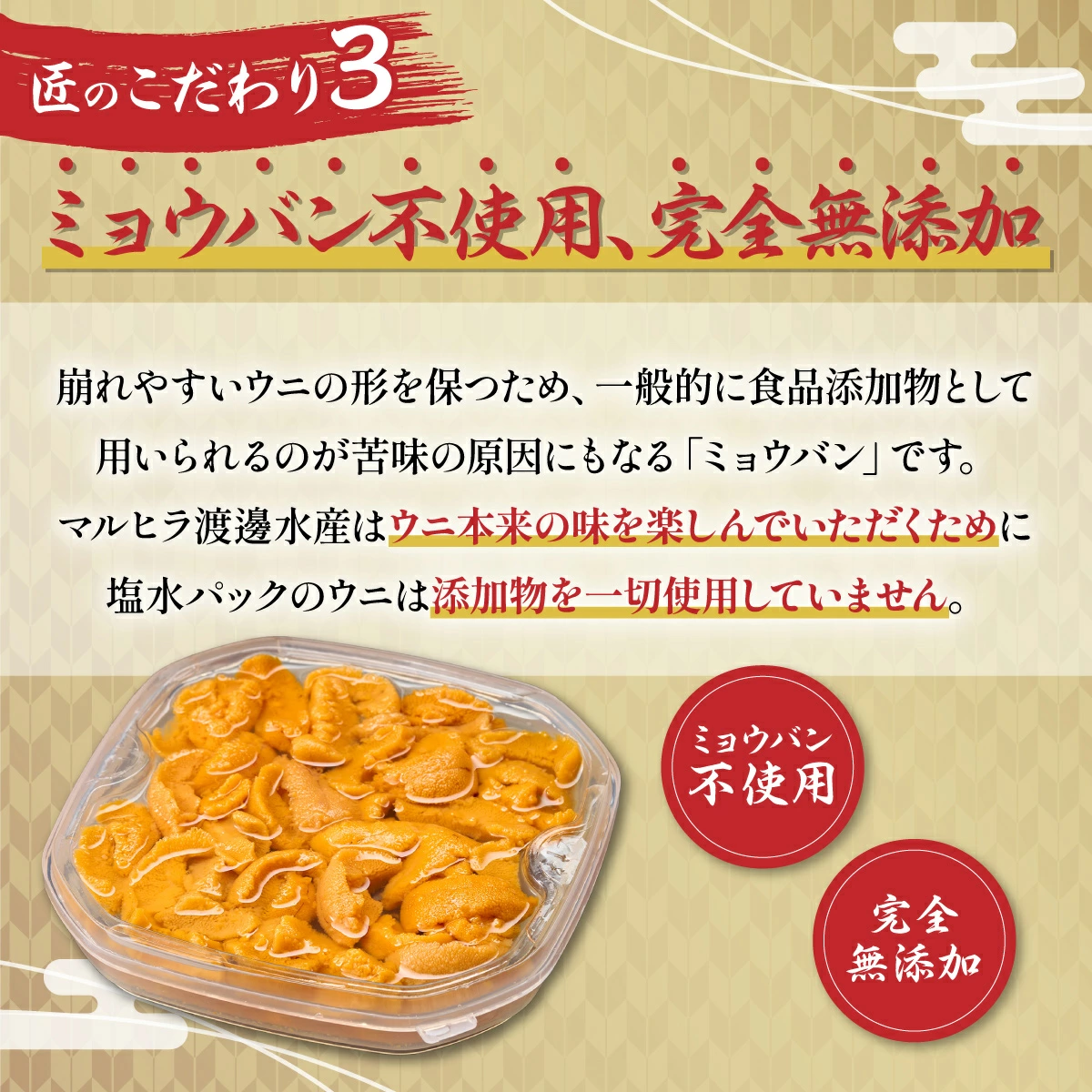 無添加　極上エゾバフンウニ塩水パック 100g　配送期間B：10月下旬～11月下旬迄 [mh-0462_B]