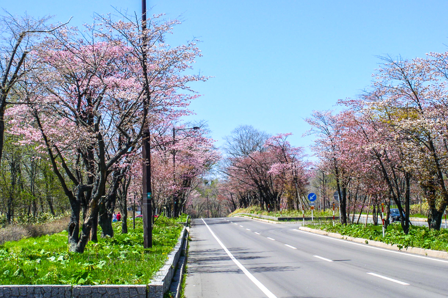 観光をはじめとする地域経済の振興に関する事業