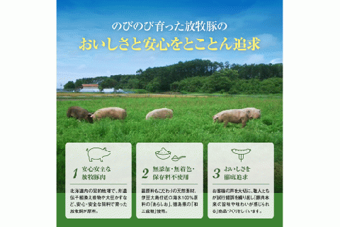 北海道産放牧豚 無添加ウインナーセット【120002】