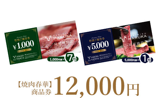 【焼肉春華】商品券12,000円【16027】