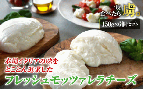 モッツァレラチーズ6個入セット【150001】