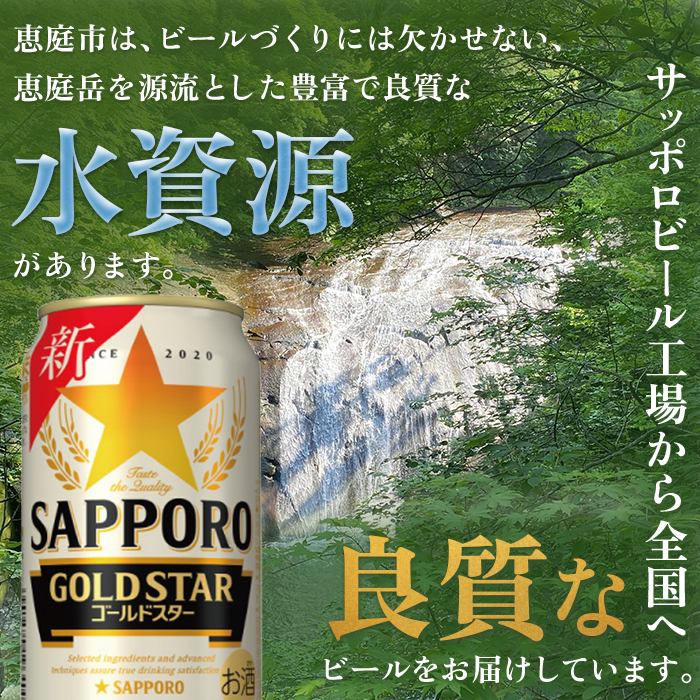 『定期便：全5回』GOLDSTAR350ml×24本 ゴールドスター【300137】