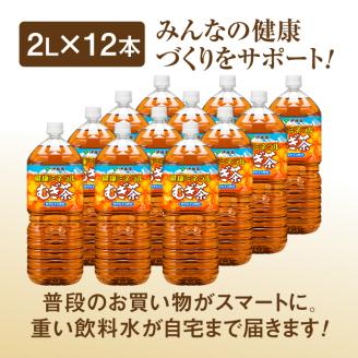 『定期便：全3回』健康ミネラル麦茶2L×6本×2箱【500005】