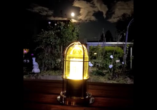 【世界初の3D受光ソーラー】スフェラーマリンランプ【08000901】