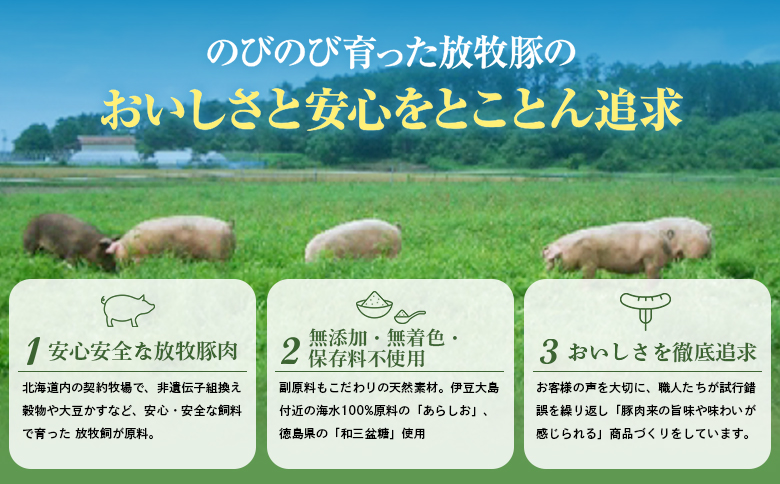 北海道産放牧豚 無添加ウインナーセットB | ふるさと納税 北海道 恵庭 北海道産 放牧豚 無添加 ウインナー ソーセージ セット 食べ比べ  ポーク 粗挽き ハーブ チョリソー ボロニアミニ 和三盆糖 お取り寄せ ファーマーズファクトリー 恵庭市【120110】