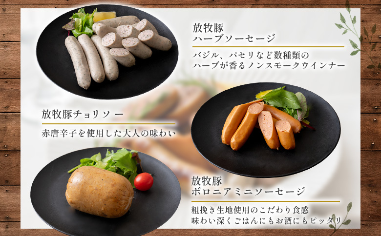 【定期便：4回】【ご自宅用】北海道産放牧豚 無添加ウインナーセット×2セット | 定期便 ご自宅用 ウインナー ソーセージ セット 詰め合わせ 北海道産 放牧豚 豚肉 ポーク 肉加工品 加工品 無添加 おつまみ ポークウインナー お取り寄せ 北海道 恵庭市 恵庭【120033】