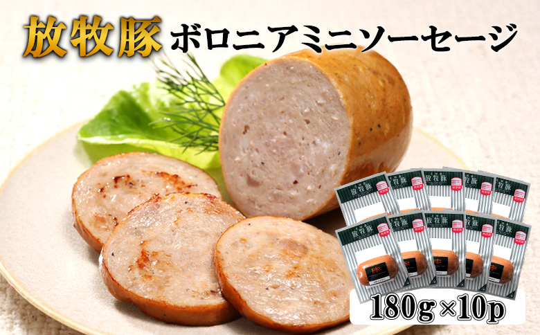 放牧豚ボロニアミニソーセージ 180g×10P | 北海道産 放牧豚 ボロニアソーセージ ボロニア ミニソーセージ ソーセージ ウインナー ウィンナー 無添加 粗挽き あらびき ブロック 豚肉 肉 加工品 ポーク カット おつまみ 簡単 便利 お取り寄せ 北海道 恵庭市 恵庭[120108]