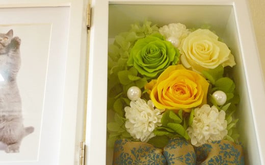 ããªã¶ãŒãããã©ã¯ãŒãMDFã¬ã©ã¹åŒµããã©ããã¬ãŒã Lã14001201ã