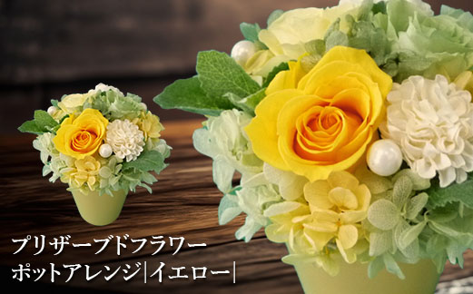 プリザーブドフラワー　ポットアレンジ（イエロー）【14001401】