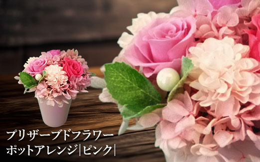 プリザーブドフラワー　ポットアレンジ（ピンク）【14001501】