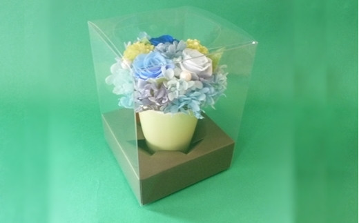 プリザーブドフラワー　ポットアレンジ（ブルーグリーン）【14001601】