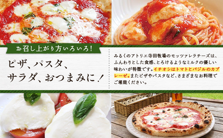 モッツァレラチーズ6個入セット(冷凍) | モッツアレラ イタリア 計900g 150g×6個 冷凍発送 ミルキー 新鮮 乳脂肪分6％ ミルク特有 なめらかな舌触り もちもち食感 フレッシュモッツァレラ 自家製 コクと濃厚さ 牧場直営レストラン 寺田牧場 乳牛 サラダ ピザ パスタ 酪農家 チーズ職人 シェフ ファームレストラン お土産 贈り物 みるくのアトリエ お取り寄せ 北海道 恵庭市 恵庭【15000201】