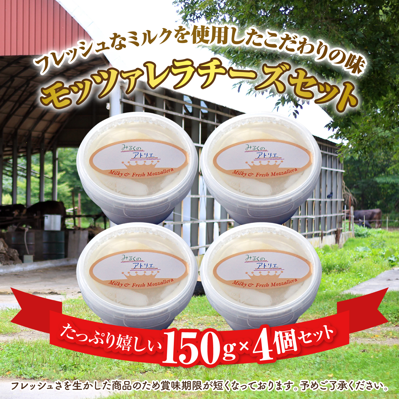 モッツァレラチーズ4個入セット【150003】