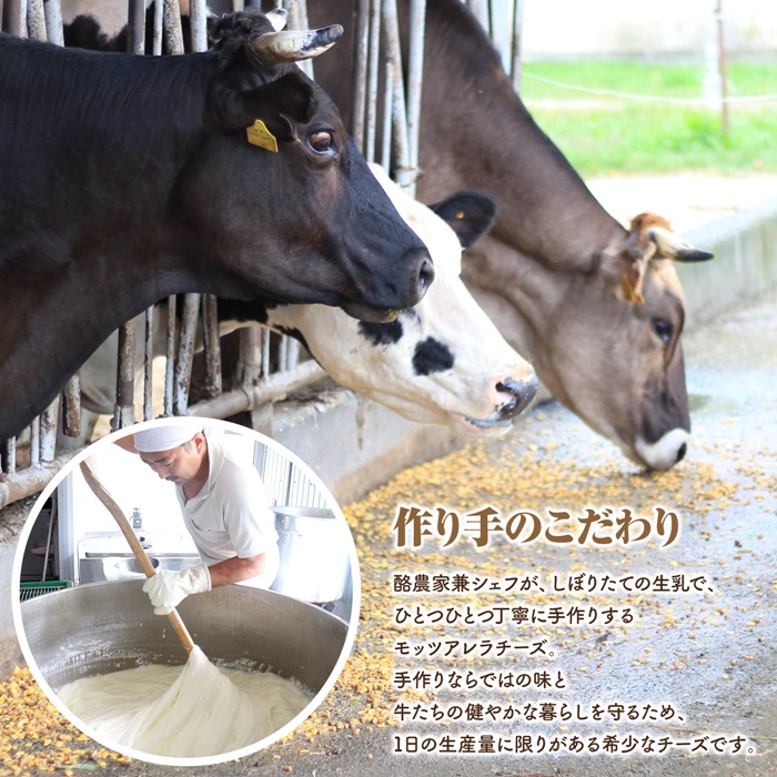 モッツァレラチーズ4個入セット（冷凍）【15000401】