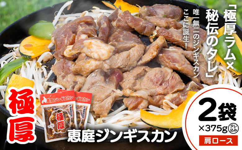 恵庭ジンギスカン（NZラム肩ロース使用）×2袋 | ジンギスカン 焼肉 ラム ラム肉 肩ロース 恵庭ジンギスカン 羊肉 バーベキュー BBQ 特産品 ご当地グルメ ご飯のお供 冷凍肉 お取り寄せ 北海道 恵庭市 恵庭【190102】