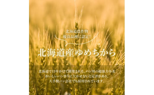 【北海道産小麦】ゆめちからブレンド粉（強力粉）500g×8袋【29000301】