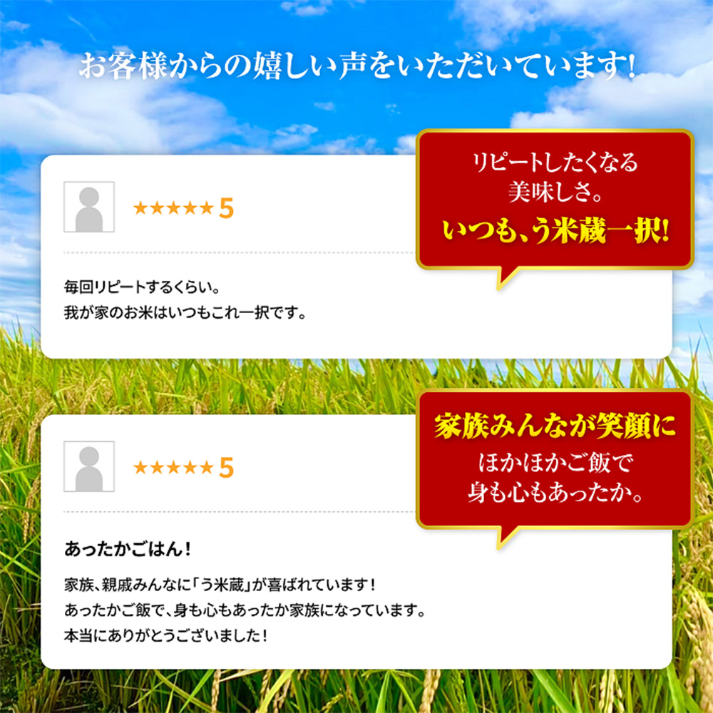 蛹玲オキ驕薙≧邀ウ阡オ5kg縲290026縲