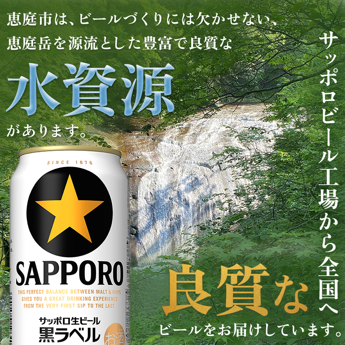 黒ラベル350ml×24本×2箱 ｜ サッポロビール サッポロ ビール 黒ラベル 350ml 48本 2箱 生ビール 晩酌 おつまみ 晩餐 お酒 酒 黒 麦芽 北海道工場 北海道 ふるさと納税 恵庭市 恵庭【300175】