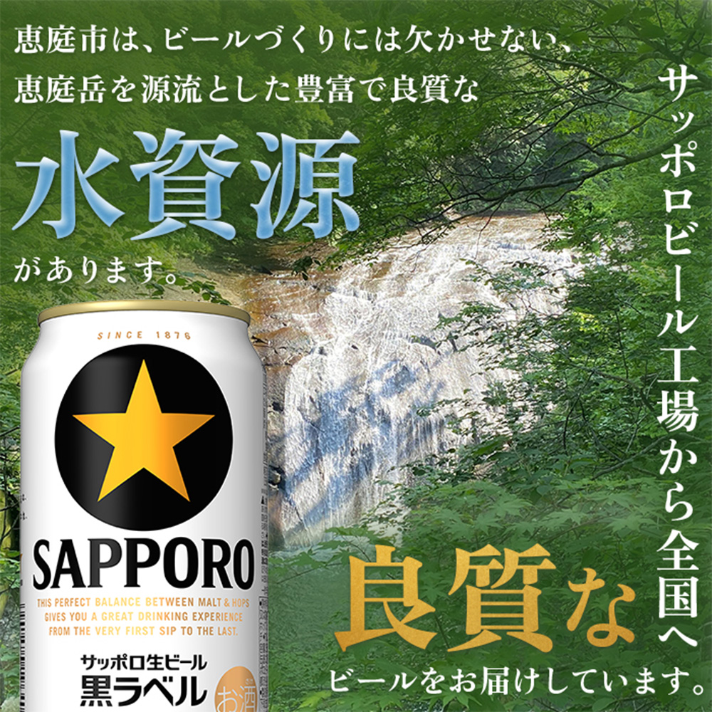 サッポロビール サッポロ ビール 黒ラベル 350ml 350 24本 144本 6箱 生ビール 晩酌 おつまみ 晩餐 お酒 酒 黒 麦芽 北海道工場 北海道 ふるさと納税 恵庭市 恵庭【300040816】
