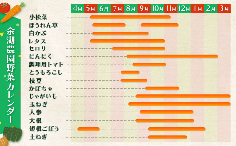 北海道産季節の野菜詰め合わせ 6種類8品【31000502】