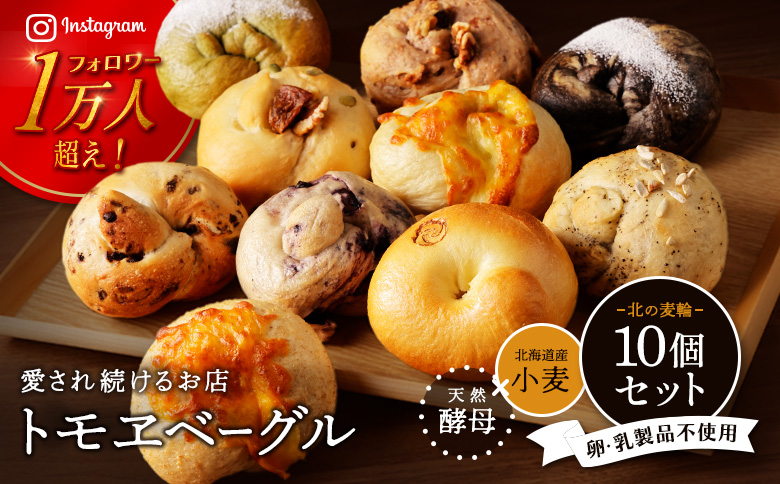 トモヱベーグル ギフトセット「北の麦輪（むぎわ）１０個セット」 ベーグル 10個 セット パン 国産小麦粉 北海道産 小麦粉 天然酵母 トモヱベーグル ギフトセット 取り寄せ ふるさと納税 北海道 恵庭市 恵庭【330001】
