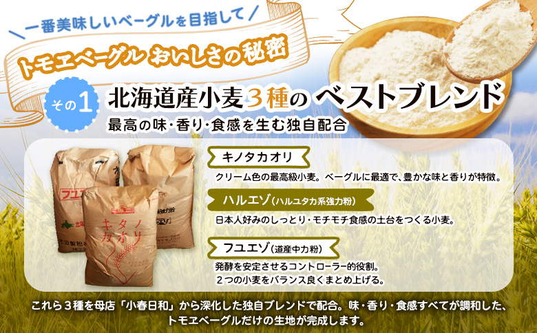 トモヱベーグル ギフトセット「北の麦輪（むぎわ）１０個セット」 ベーグル 10個 セット パン 国産小麦粉 北海道産 小麦粉 天然酵母 トモヱベーグル ギフトセット 取り寄せ ふるさと納税 北海道 恵庭市 恵庭【330001】