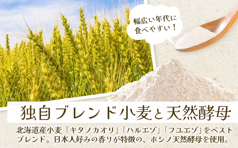 トモヱベーグル 「プレーンベーグル 巴（ともえ）」１０個セット【33000601】