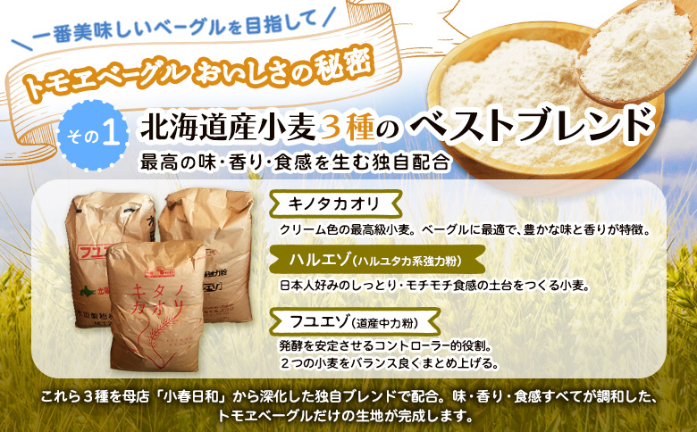 トモヱベーグル ギフトセット「北の麦輪（むぎわ）5個セット」 ベーグル 5個 セット パン 国産小麦粉 北海道産 小麦粉 天然酵母 トモヱベーグル ギフトセット 取り寄せ ふるさと納税 北海道 恵庭市 恵庭【33001301】