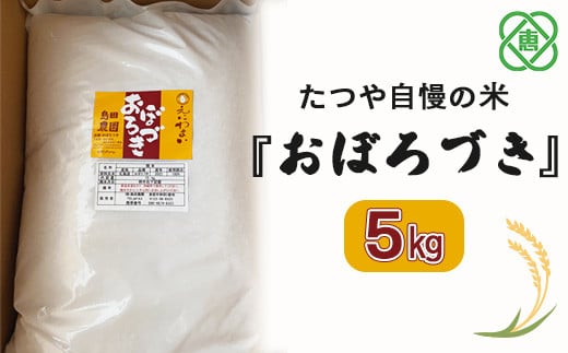 令和6年度産【北海道産】たつや自慢の米『おぼろづき』5kg【35001501】