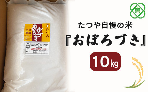 令和6年度産【北海道産】たつや自慢の米『おぼろづき』10kg【35001401】