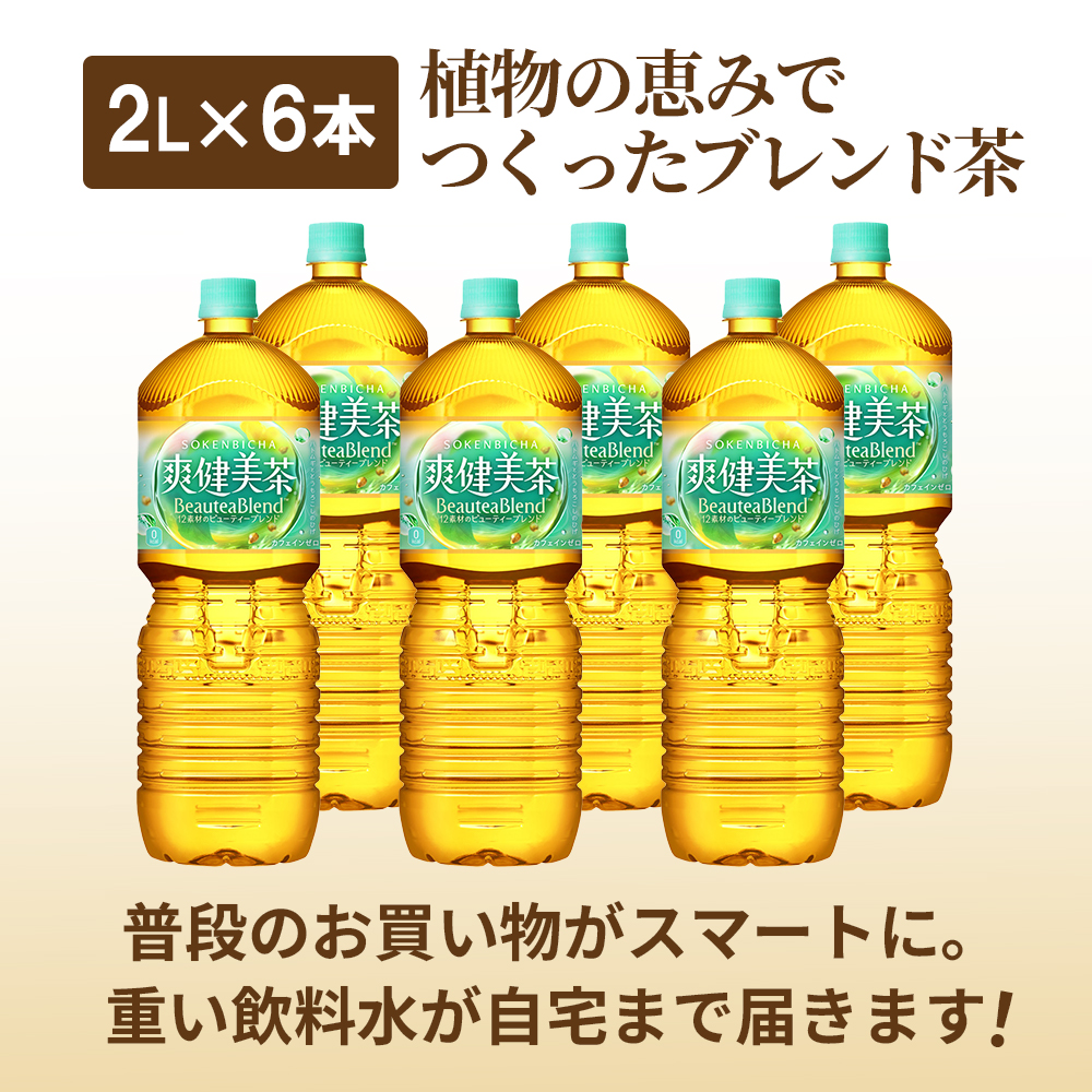 『定期便：全2回』爽健美茶2L×6本 | 爽健美茶 お茶 ハトムギ カフェインゼロ ノンカフェイン ブレンド茶 そうけんびちゃ 健康 水分補給 コカコーラ お取り寄せ 北海道 恵庭市 恵庭【38001901】