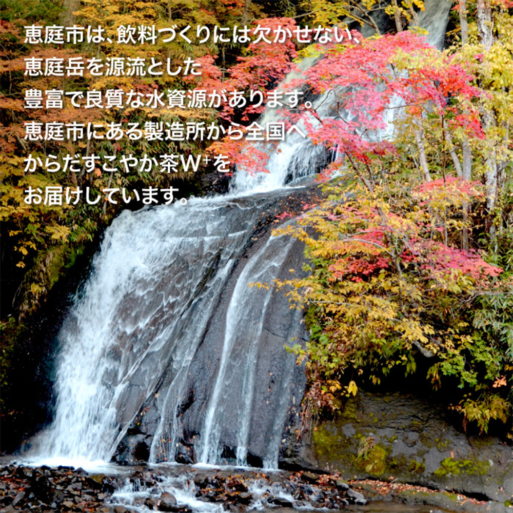 【定期便：4回（隔週発送）】からだすこやか茶W+ 350mlPET×24本 コカ・コーラ からだすこやか茶 お茶 トクホ 特保 北海道 ふるさと納税 恵庭市 恵庭 定期便 隔週4週 定期 4回からだすこやか茶350ml×24本【38004001】