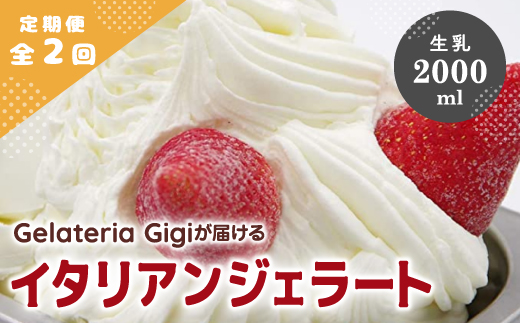 【定期便2回】 ジェラテリアGigi イタリアンジェラート 生乳 2000ml ジェラート ミルク アイス gigi 業務用 2L スイーツ お取り寄せ グルメ 定期便 2回 ふるさと納税 北海道 恵庭市 恵庭【43004502】