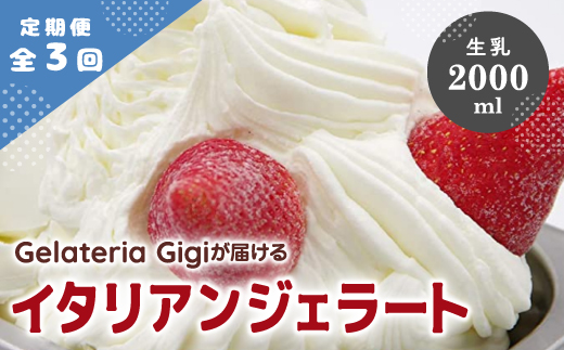 【定期便3回】 ジェラテリアGigi イタリアンジェラート 生乳 2000ml ジェラート ミルク アイス gigi 業務用 2L スイーツ お取り寄せ グルメ 定期便 3回 ふるさと納税 北海道 恵庭市 恵庭【43004602】