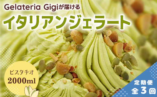 【定期便3回】 ジェラテリアGigi イタリアンジェラート ピスタチオ 2000ml ジェラート ぴすたちお イタリア産 アイス gigi 業務用 2L スイーツ お取り寄せ グルメ 定期便 3回 ふるさと納税 北海道【43004802】