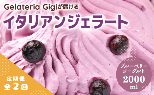 【定期便2回】 ジェラテリアGigi イタリアンジェラート ブルーベリーヨーグルト 2000ml ジェラート ブルーベリー アイス gigi 業務用 2L スイーツ お取り寄せ グルメ 定期便 2回 ふるさと納税 北海道【43005702】