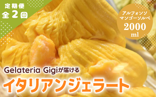 【定期便2回】 ジェラテリアGigi イタリアンジェラート アルフォンソマンゴーソルベ 2000ml ジェラート マンゴー アイス gigi 業務用 2L スイーツ お取り寄せ グルメ 定期便 2回 ふるさと納税 北海道【43006302】