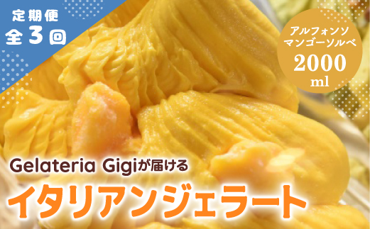 【定期便3回】 ジェラテリアGigi イタリアンジェラート アルフォンソマンゴーソルベ 2000ml ジェラート マンゴー アイス gigi 業務用 2L スイーツ お取り寄せ グルメ 定期便 3回 ふるさと納税 北海道【43006402】
