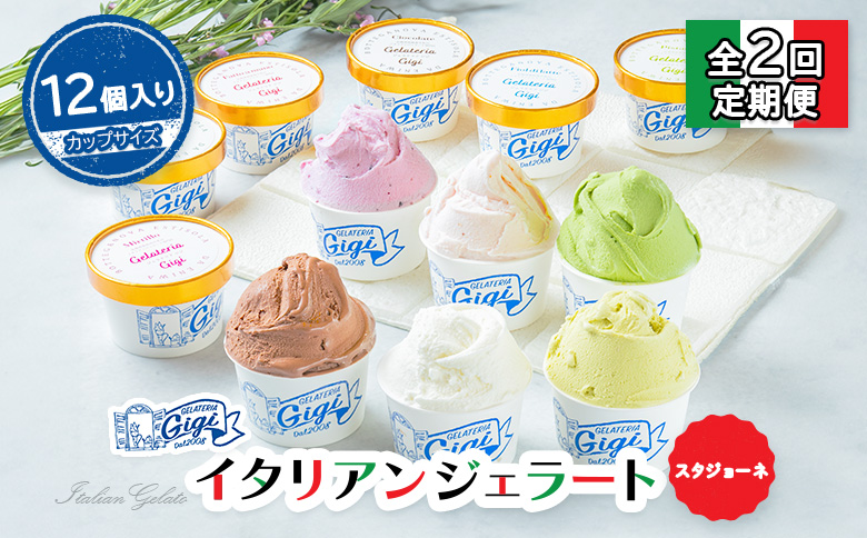 【定期便2回】 ジェラテリアGigi イタリアンジェラート 6種 おまかせ入り 計12個 セット ジェラート 牛乳 ピスタチオ 抹茶 チョコレート ブルーベリーヨーグルト お任せ カップ 定期便 2回 ふるさと納税 北海道【43006901】